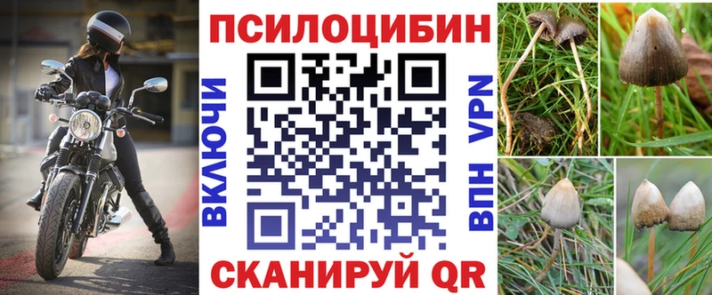 Купить закладки Североморск Псилоцибиновые грибы Magic Shrooms