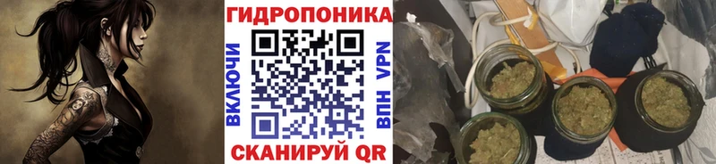 Купить где  Североморск  Конопля планчик 